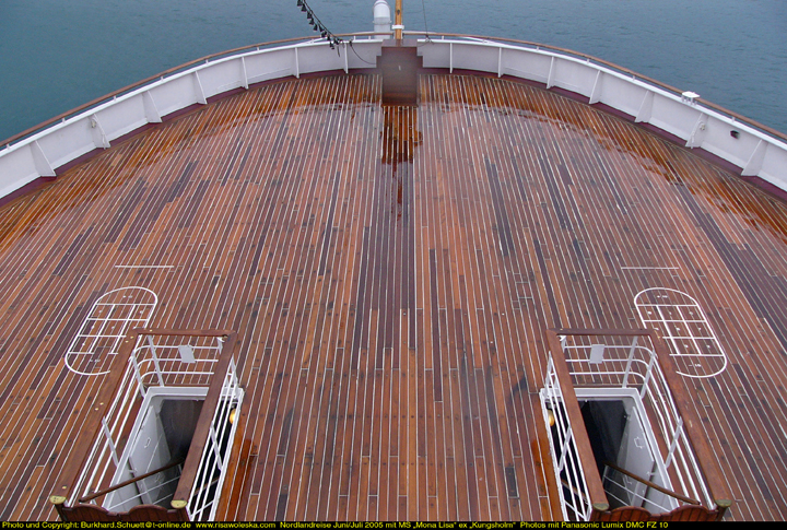 008 Regenglanz auf hölzernen Nadelstreifen.jpg