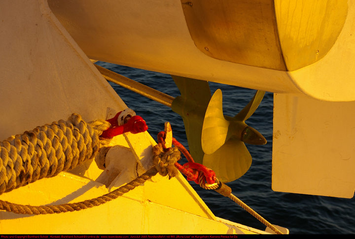 032 Vom Morgenlicht getönt.jpg