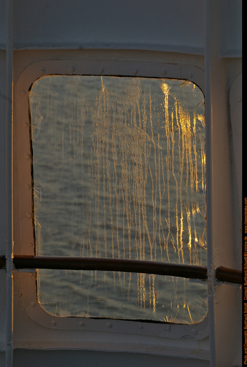 051 Morgentau am Lido.jpg