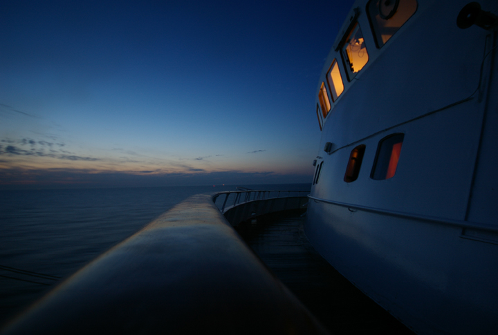 Königin der Nacht 004.jpg