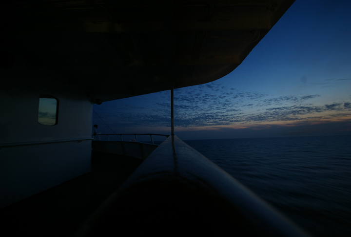 Königin der Nacht 005.jpg