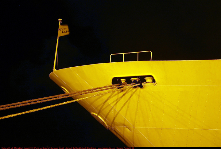 Königin der Nacht 006.jpg