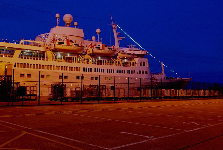 Königin der Nacht 008.jpg