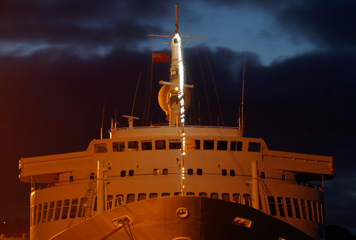 Königin der Nacht 009.jpg