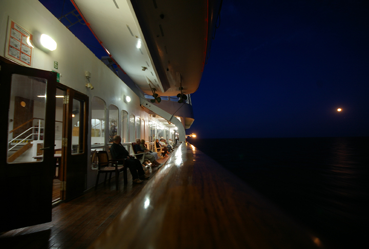 Königin der Nacht 012.jpg