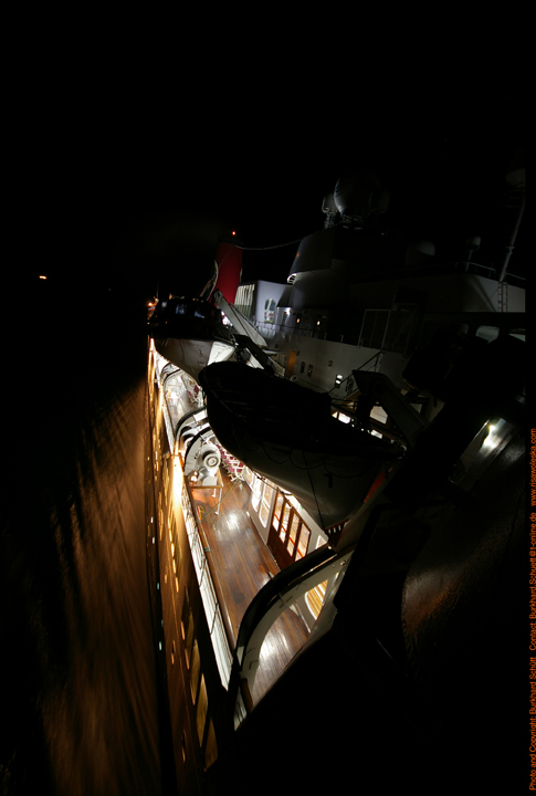 Königin der Nacht 015.jpg