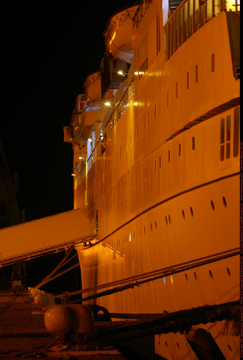 Königin der Nacht 021.jpg