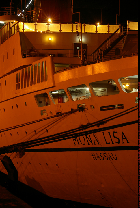 Königin der Nacht 022.jpg