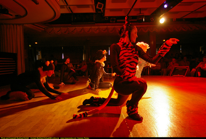 Entertainment 009.jpg